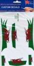 flash_wales